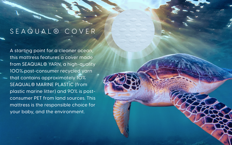 specifications-tab-image