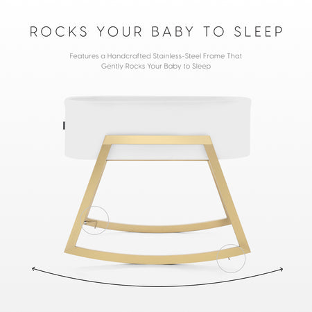 Gold - Brushed Stainless Steel