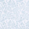 Blue Floral