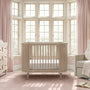 Whitewash Ash