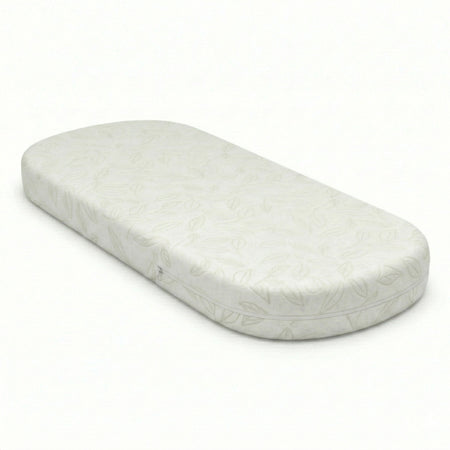 Whitewash Ash